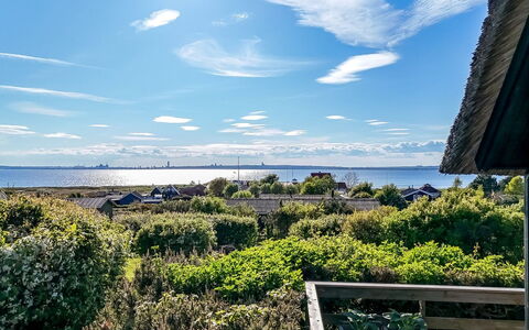 Minza - 150M from the Sea: Estate, Shade, Driveway, Agriturismo