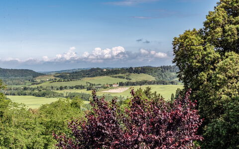 Tenuta i Mandorli, Pool, Wifi, Peccioli: Verde, Albero, Foglia, Natura, Ambiente Naturale, Geografia Montane, Paesaggio Naturale, Vegetazione, Collina, Pascolo