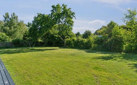 Thrym - 2.5Km from the Sea: Vegetazione, Arbusto, Primavera, Villetta, Giardino, Shade, Backyard, Cortile, Sedia
