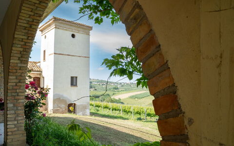 Alloggio:&nbsp;Torretta 648.4