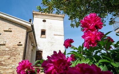 Alloggio:&nbsp;Torretta 648.4