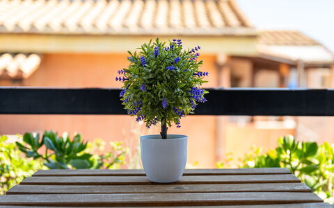 Appartamento Sala: Mare, Costa, Spiaggia, Oceano, Shade, Balcone, Plank, Mobili Da Esterno