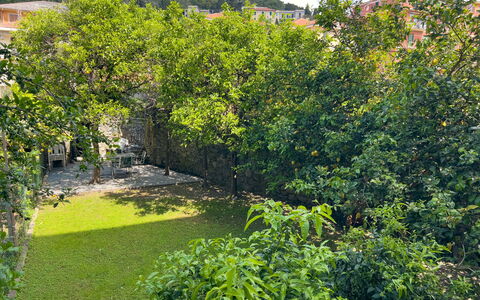 Corso Roma 15 Vacanze - Levanto: Foglia, Vegetazione, Arbusto, Giardino, Primavera, Woody Impianto, Shade, Landscaping, Backyard, Passerella