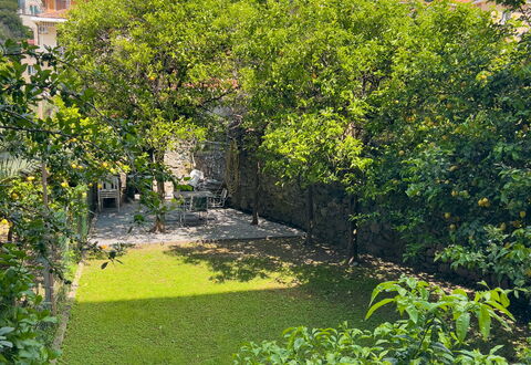 Corso Roma 15 Vacanze - Levanto: Verde, Foglia, Vegetazione, Arbusto, Giardino, Groundcover, Primavera, Landscaping, Backyard, Cortile