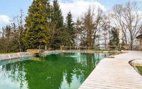 Oase im Grünen: Piscina, Riflessione, Serbatoio, Inverno, Stagno, Larice, Giochi D'Acqua, Ricorrere
