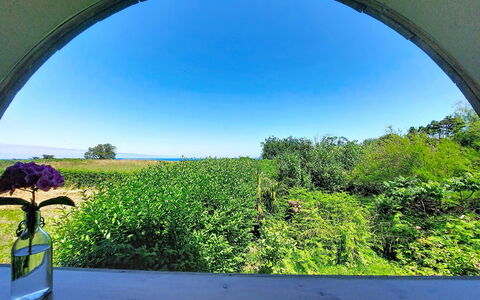 Le Préau: Verde, Natura, Luce Del Sole, Giardino, Landscaping, Piantagione