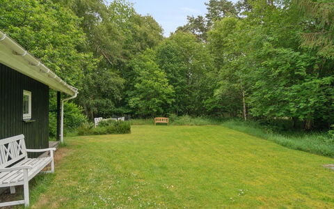 Tekla - from the Sea: Erba, Albero, Arbusto, Lotto, Giardino, Pascolo, Groundcover, Prato, Area Rurale