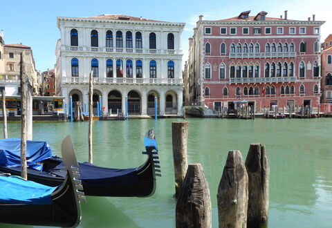Venice Photobirding, Nature And Culture: Barca, Corpo D'Acqua, Barche E Nautica - Macchine E Materiali, Moto D'Acqua, Costruzione, Waterway, Canale, Canale, Alveo