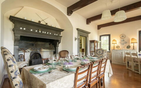 Villa Albertina: Mobilia, Interior Design, Sedia, Tavolo, Parete, Sala Da Pranzo, Legna, Cucina & Sala Da Pranzo Tavolo, Soffitto, Pavimentazione