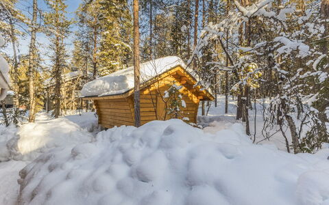 Jerisrannantie 7: Legna, Villetta, Log Cabin, Foresta, Capannone, Edifici Giardino, Larice, Woodland, Color Legno