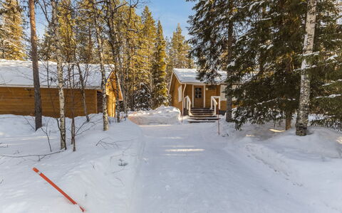 Jerisrannantie 7: Legna, Villetta, Log Cabin, Foresta, Capannone, Edifici Giardino, Larice, Woodland, Color Legno