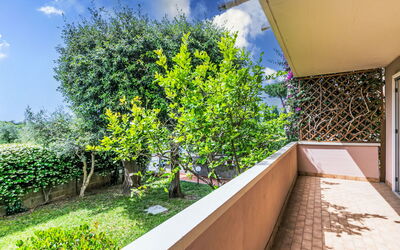 Piccolo Leccio