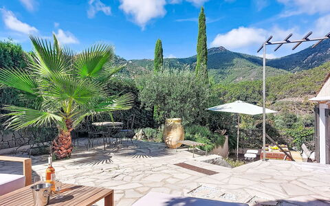 Sainte Honorine: Legna, Giardino, Backyard, Lotto, Casa, Tetto, Shade, Deck, Latifoglie, Cortile