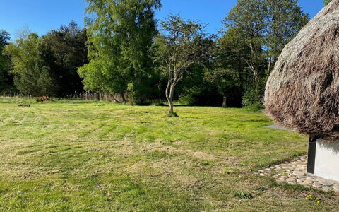 Annabeth - 900M from the Sea: Erba, Albero, Pascolo, Plain, Lotto, Area Rurale, Thatching, Prato, Pascolo