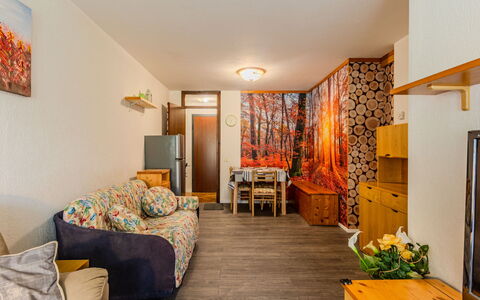 Boris: Legna, Interior Design, Mobilia, Pavimentazione, Soffitto, Pavimento, Camera, Appartamento, Soggiorno, Color Legno