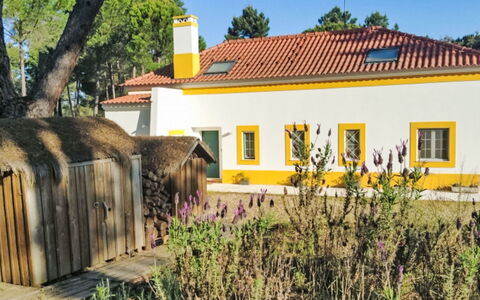 Apartamento 2 Quartos- Ua 94: Giallo, Casa, Villetta, Agriturismo, Estate, Giardino, Landscaping, Hacienda, Prato, Cortile