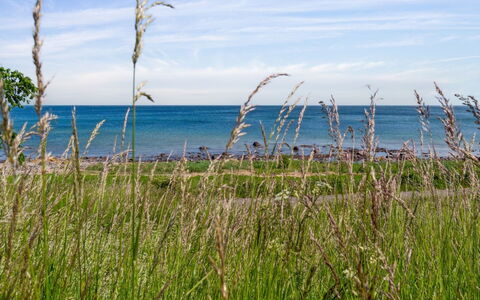 Ayo - 75M from the Sea: Appartamento, Condominio, Estate, Balcone, Villa, Hotel