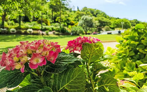 Douce Campagne: Giardino, Mobili Da Esterno, Ricorrere, Shade, Tempo Libero, Prato, Eco Hotel, Landscaping, Tenda, Parco