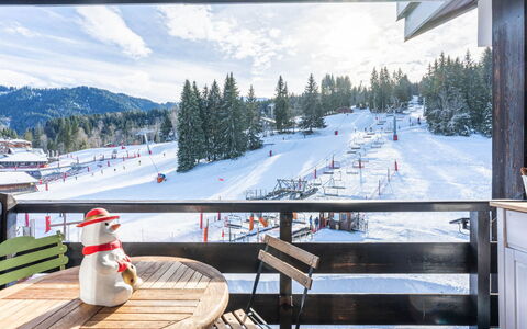 Grand Morillon: Inverno, Neve, Congelamento, Hill Station, Geomorfologia Glaciale, Larice, Stazione Sciistica, Pine Famiglia