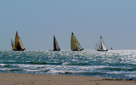 Appartamento Marcella: Barca, Barca A Vela, Moto D'Acqua, Andare In Barca, Albero, Andare In Barca, Mare, Oceano, Ricreazione