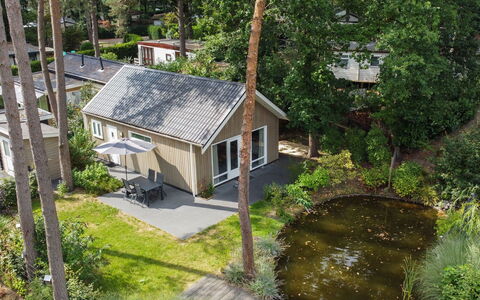 Boslodge: Casa, Casa, Arbusto, Villetta, Giardino, Estate, Backyard, Landscaping, Edifici Giardino