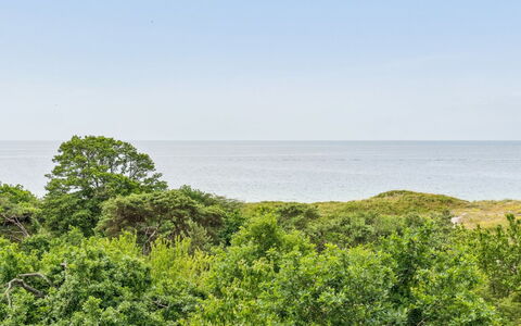 Mariam - 100M from the Sea: Cielo, Blu, Vegetazione, Orizzonte, Paesaggio Naturale, Ecoregione, Nube, Estate, Comunita 'Impianto, Arbusto