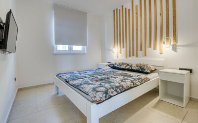 Alloggio:&nbsp;Dita 290.3