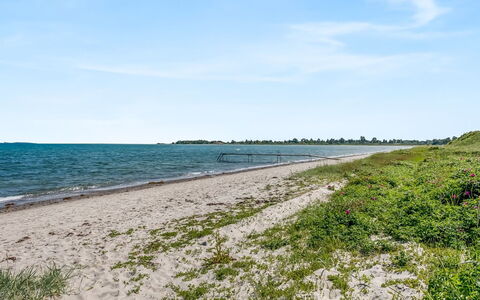 Yma - from the Sea: Thatching, Villetta, Casa, Tetto, Casa, Agriturismo, Capanna, Estate, Villaggio