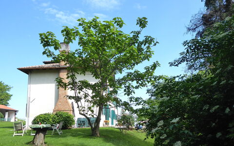 Casa Ballo delle Streghe, Garden, Montebelluna: Prato, Giardino, Shade, Cortile, Backyard, Landscaping, Agriturismo