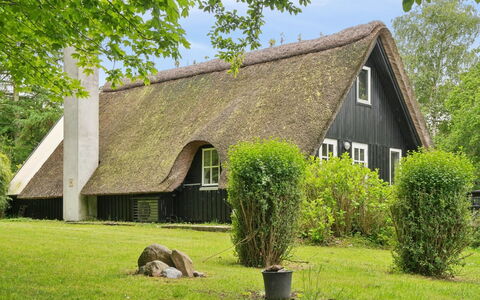 Svenne - 1.4Km from the Sea: Erba, Villetta, Tetto, Casa, Arbusto, Lotto, Casa, Thatching, Area Rurale