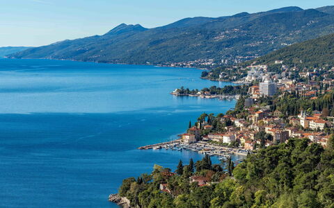 Opatija 158: Legna, Interior Design, Pavimentazione, Mobilia, Pavimento, Tavolo, Cucina & Sala Da Pranzo Tavolo, Sedia, Pavimento In Legno, Camera