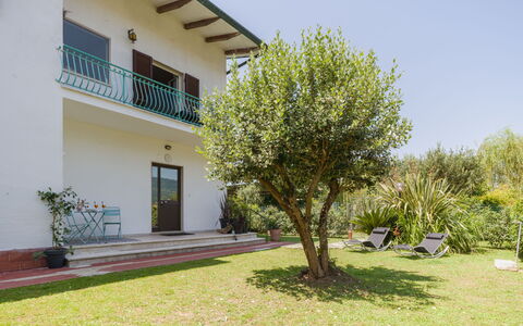 Celeste: Legna, Interior Design, Pavimentazione, Mobilia, Pavimento, Tavolo, Cucina & Sala Da Pranzo Tavolo, Sedia, Pavimento In Legno, Camera