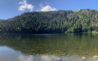 Black Forest Hideaway