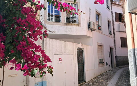 Dom Carlos: Parete, Rosa, Balcone, Fiorire, Vicolo, Bougainvillea, Pianta Della Casa