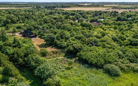 Gadde - 100M to the Fjord: Albero, Ambiente Naturale, Vegetazione, Paesaggio Naturale, Paesaggio, Visione Globale, Ecoregione, Plain, Lotto, Pascolo