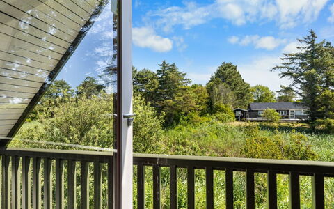 Luci - 20M from the Sea: Estate, Shade, Driveway, Agriturismo