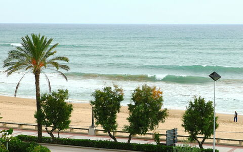 Torre Yato: Spiaggia, Albero, Riva, Mare, Palma, Oceano, Vegetazione, Costa, Ambiente Naturale, Vacanza