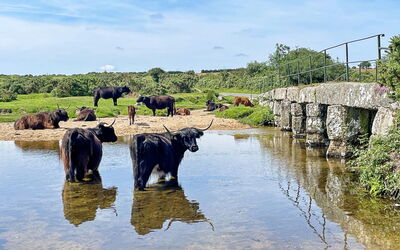Stable Barn Apartment at Bodmin Moor