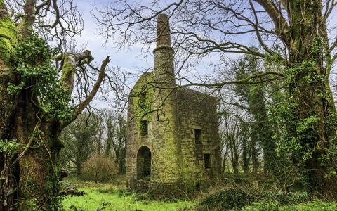 The Hideaway: Erba, Arbusto, Paesaggio, Pascolo, Area Rurale, Muratura, Prato, Rovine, Castello, Muro ​​Di Pietra