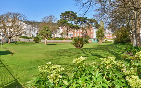 Sidmouth 602: Foglia, Arbusto, Giardino, Prato, Groundcover, Primavera, Parco, Cortile, Landscaping, Estate