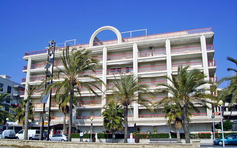 Ancora: Cielo, Costruzione, Albero, Urban Design, Palazzone, Arecales, Condominio, Zona Residenziale, Edificio Commerciale, Pianta