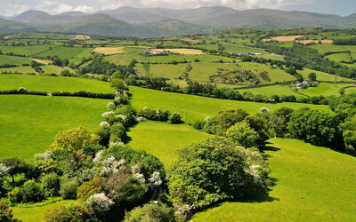 Red Kites Retreat