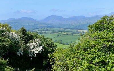 Red Kites Retreat