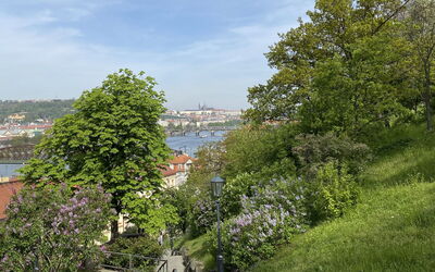 Prague Centre 104