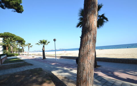 Cambrils 185: Pianta, Proprietà, Pianta Della Casa, Costruzione, Vaso Di Fiori, Illuminazione, Interior Design, Legna, Pavimentazione, Pavimento