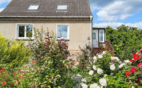 Meerhaus: Arbusto, Casa, Villetta, Giardino, Tetto, Comunita 'Impianto, Groundcover, Primavera, Landscaping