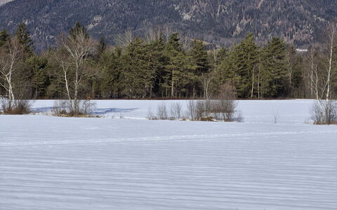 Strobl 1: Inverno, Neve, Albero, Ramo, Geografia Montane, Montagna, Natura Selvaggia, Congelamento, Ramoscello, Catena Montuosa