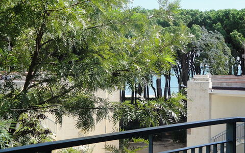 Reus Mediterrani: Albero, Vegetazione, Proprietà, Woody Impianto, Botanica, Immobiliare, Pianta, Architettura, Casa, Casa