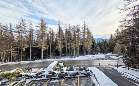 Reseda 3.23: Albero, Ramo, Inverno, Neve, Congelamento, Tronco, Mattina, Larice, Brina