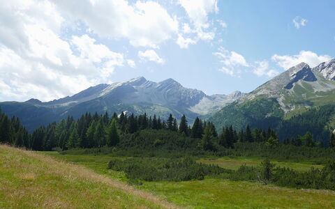 Larice: Cielo, Montagna, Geografia Montane, Nube, Verde, Natura, Collina, Ambiente Naturale, Erba, Paesaggio Naturale